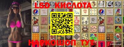 амф Камышлов