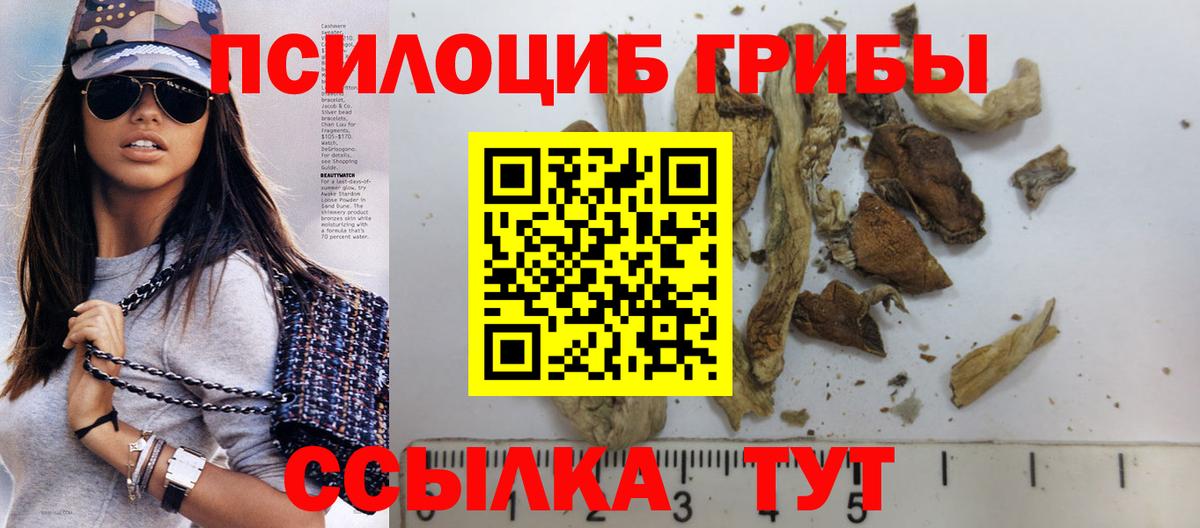 Псилоцибиновые грибы Cubensis Красный Сулин